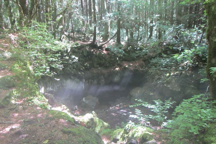 Exploring Mt Fuji Ice Cave and Sea of Trees Forest