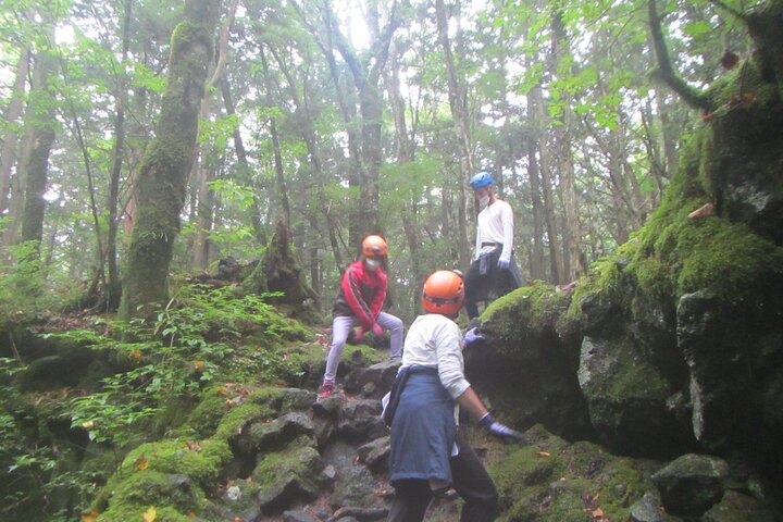 Exploring Mt Fuji Ice Cave and Sea of Trees Forest