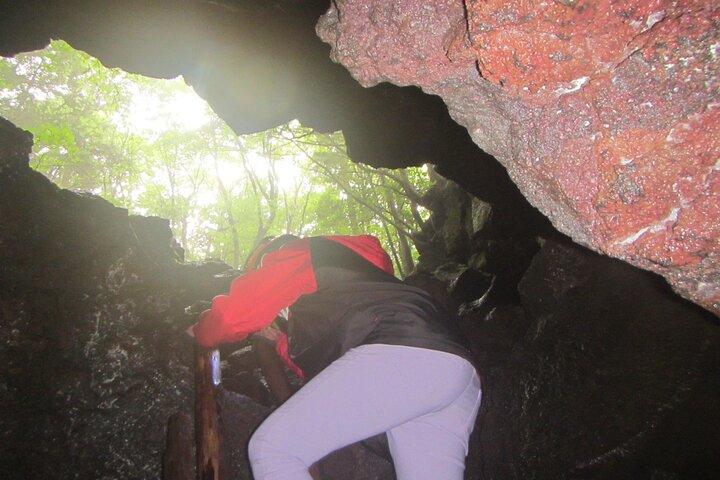 Exploring Mt Fuji Ice Cave and Sea of Trees Forest