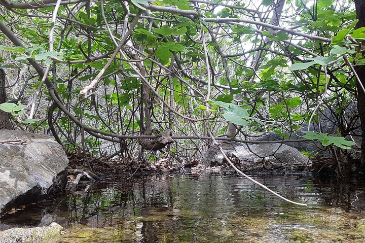 HIDDEN GEMS - RICHTIS GORGE for nature lovers!