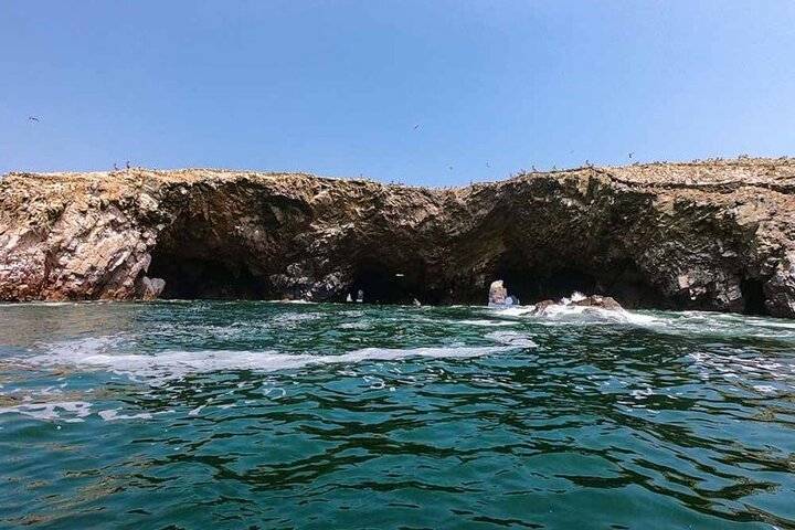 Ballestas Islands : Round Trip from Pisco Cruise Port