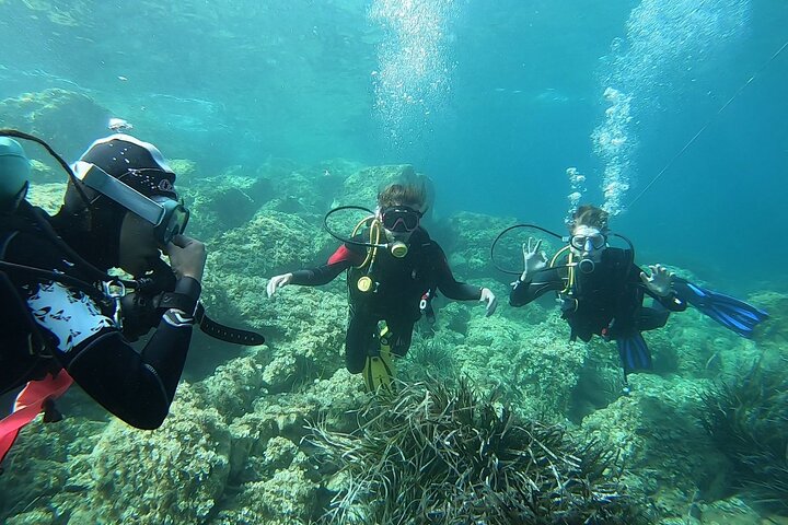 "Baptism of the Sea: Diving on the Island of Elba"