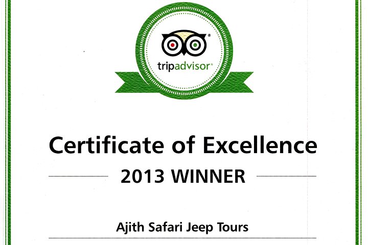 Yala National Park Wildlife Safari/ Game Drive - by Ajith Safari