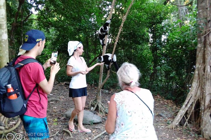 Guided tour of the Nosy Komba and Nosy Tanikely Islands
