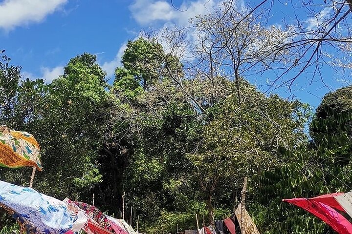 Guided tour of the Nosy Komba and Nosy Tanikely Islands