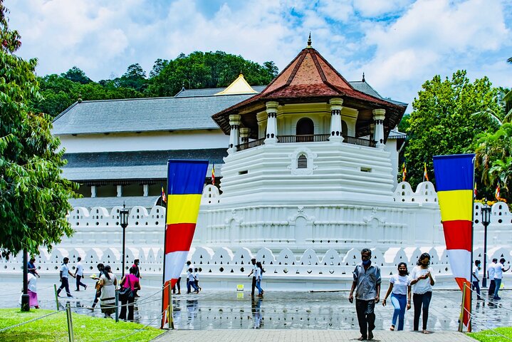 Sigiriya To Kandy Private Transport With Sightseeing