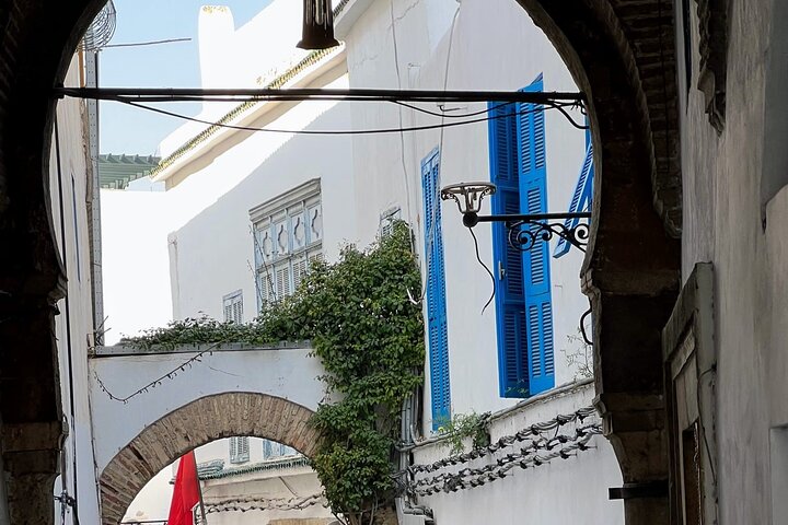 Private Day Tour Tunis Medina Carthage Sidi Bou Said Bardo Museum