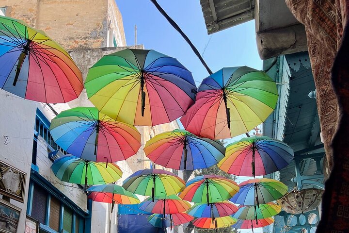 Private Day Tour Tunis Medina Carthage Sidi Bou Said Bardo Museum