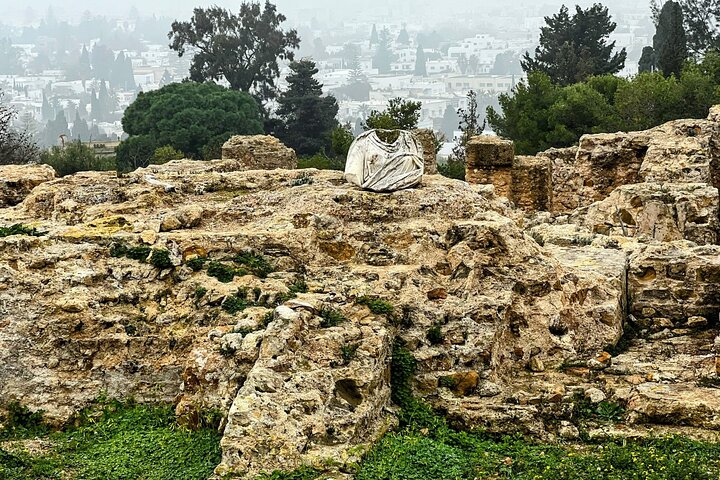 Private Day Tour Tunis Medina Carthage Sidi Bou Said Bardo Museum