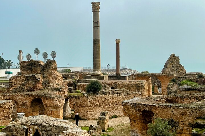 Private Day Tour Tunis Medina Carthage Sidi Bou Said Bardo Museum