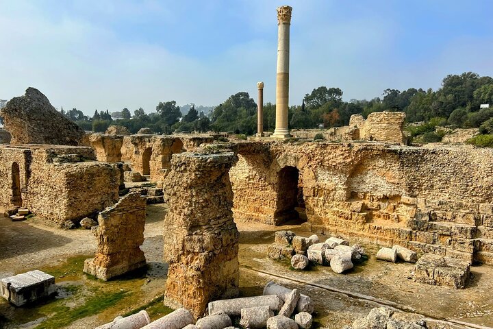 Private Day Tour Tunis Medina Carthage Sidi Bou Said Bardo Museum