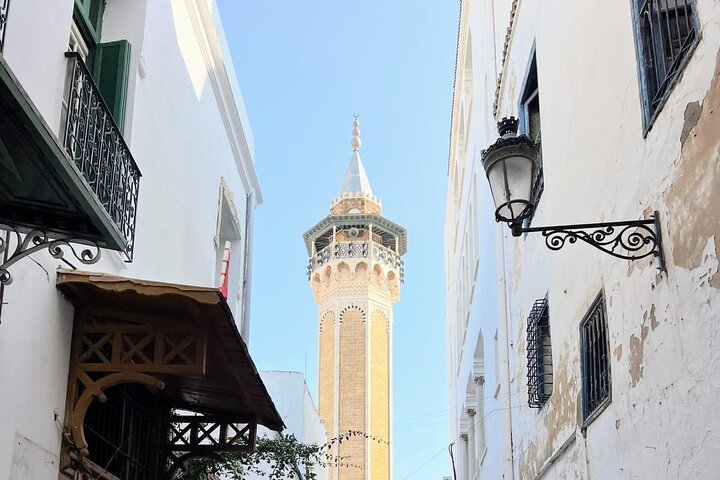 Private Day Tour Tunis Medina Carthage Sidi Bou Said Bardo Museum