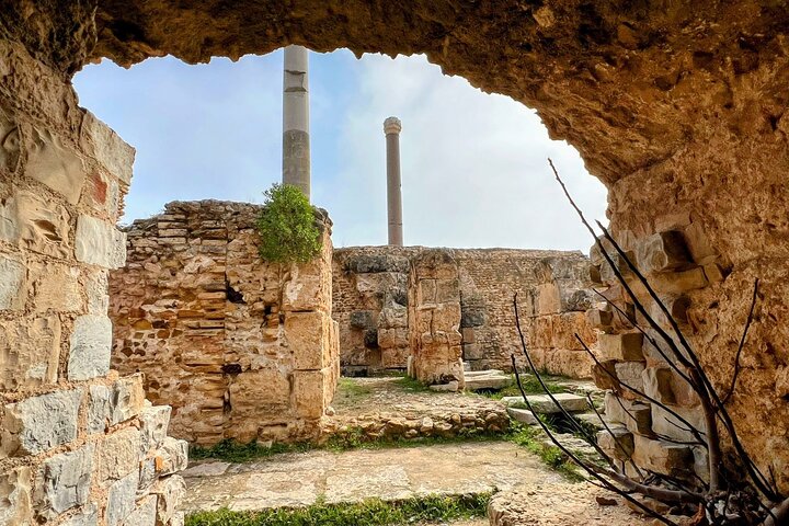 Private Day Tour Tunis Medina Carthage Sidi Bou Said Bardo Museum
