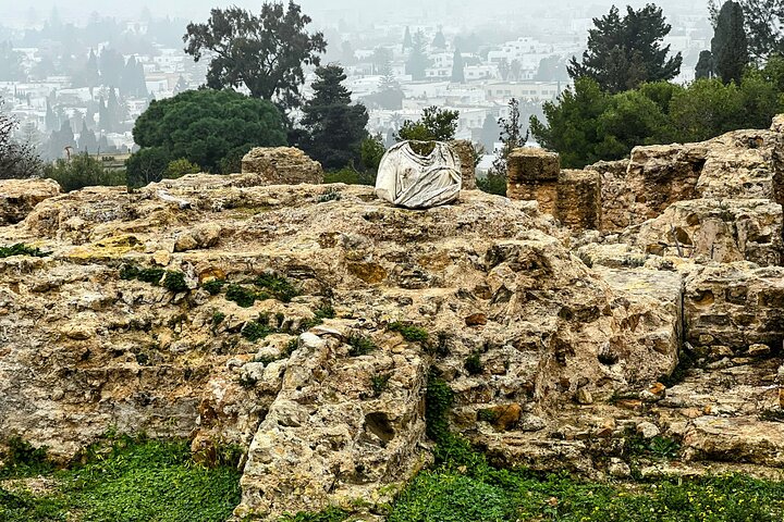 Private Day Tour Tunis Medina Carthage Sidi Bou Said Bardo Museum