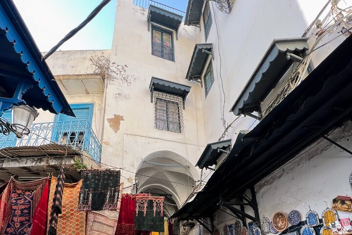 Private Day Tour Tunis Medina Carthage Sidi Bou Said Bardo Museum