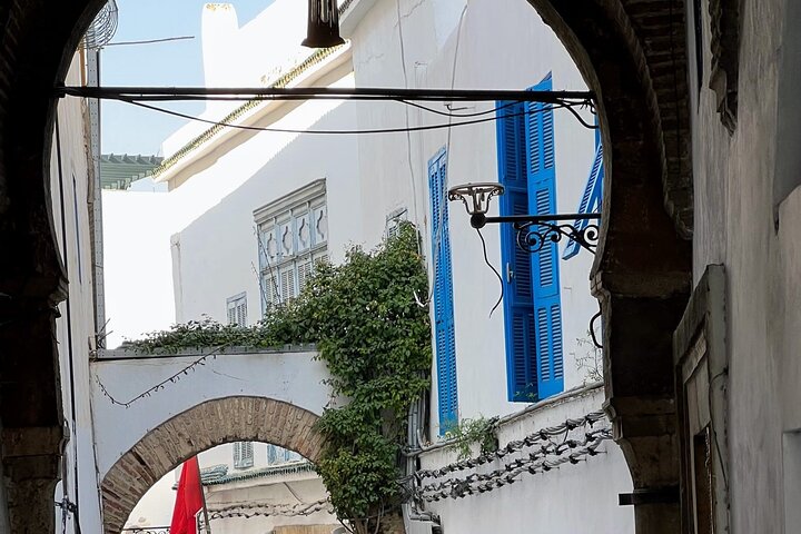 Full-Day Shore Excursion Private Tour in Tunisia Carthage ,Medina, Sidi Bou said