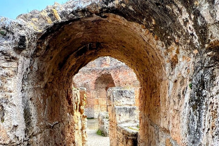Full-Day Shore Excursion Private Tour in Tunisia Carthage ,Medina, Sidi Bou said