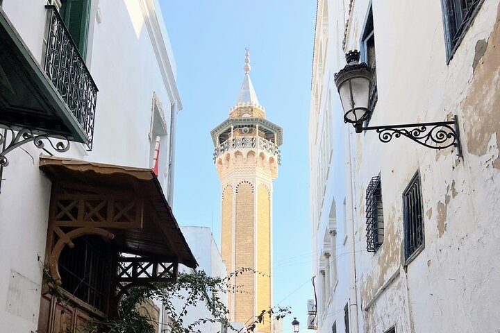 Full-Day Shore Excursion Private Tour in Tunisia Carthage ,Medina, Sidi Bou said