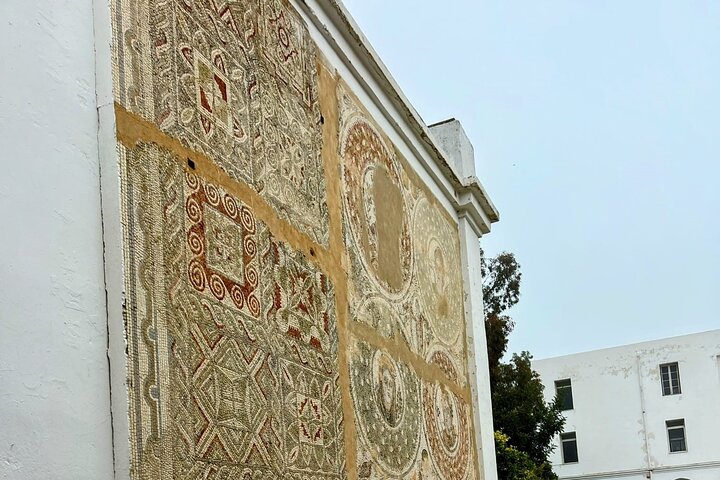 Full-Day Shore Excursion Private Tour in Tunisia Carthage ,Medina, Sidi Bou said