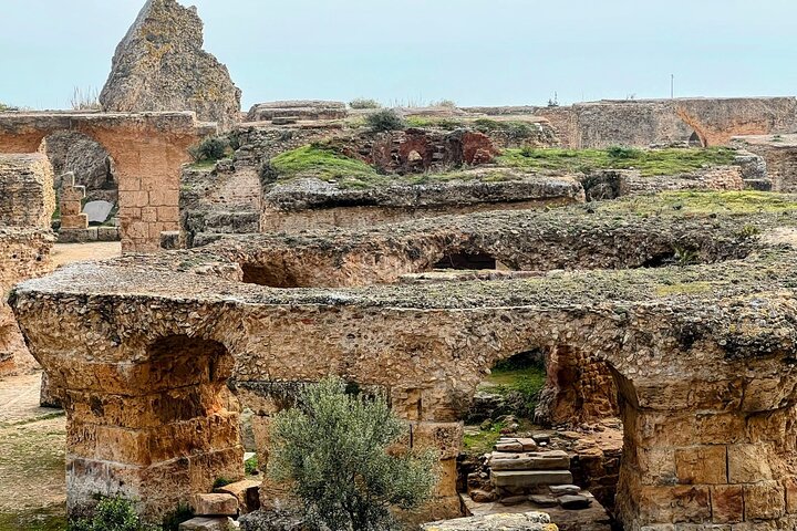 Full-Day Shore Excursion Private Tour in Tunisia Carthage ,Medina, Sidi Bou said