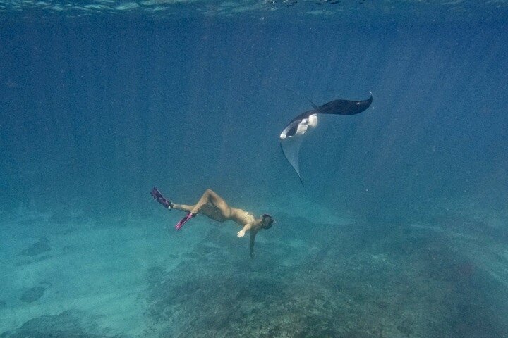 Nusa Penida day trip: boat, 4 snorkeling, Manta rays & Land tour