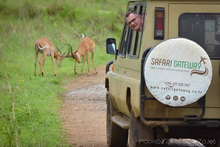 Mikumi Safari Tour: Day Trip Return Flight From Zanzibar