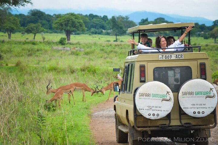 Mikumi Safari Tour: Day Trip Return Flight From Zanzibar