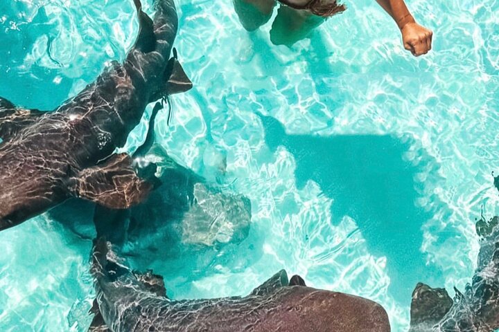 Great Exuma: Private Island-Hopping Boat Tour with Swimming Pigs