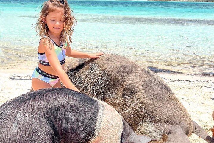 Great Exuma: Private Island-Hopping Boat Tour with Swimming Pigs