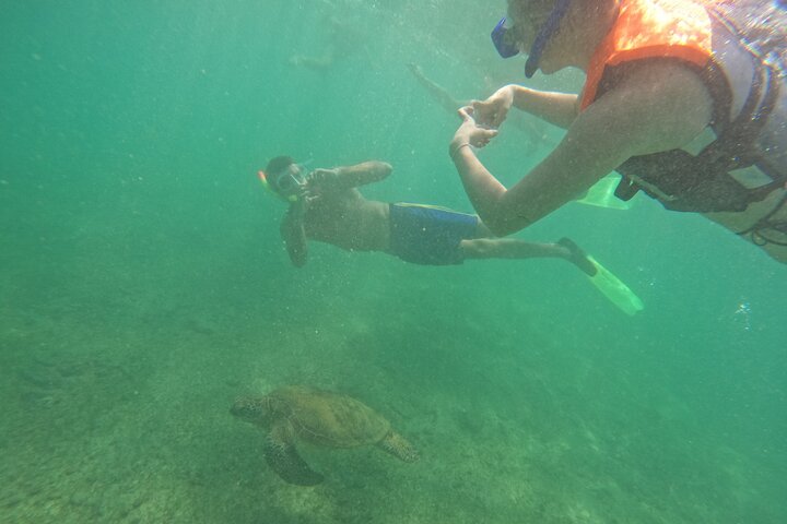 Snorkeling with Turtles in Mirissa