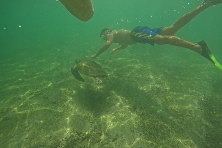 Snorkeling with Turtles in Mirissa