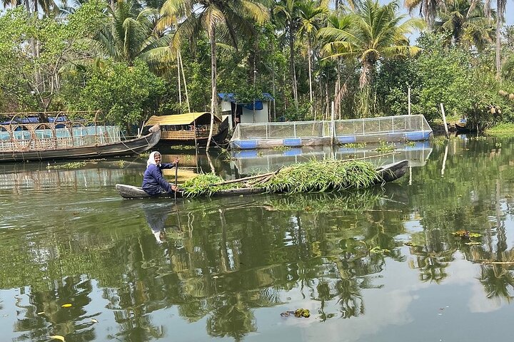 Cochin: Backwater Village Eco Boat Cruise with Lunch