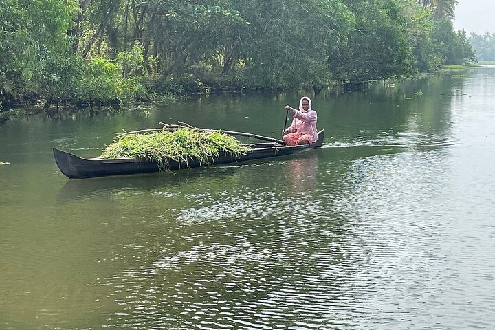 Cochin: Backwater Village Eco Boat Cruise with Lunch