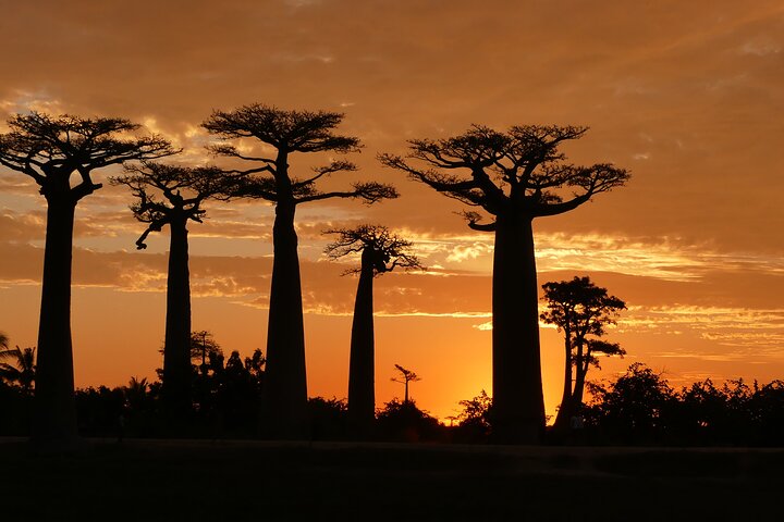 Adventure Tour West Madagascar | Nature and Discovery