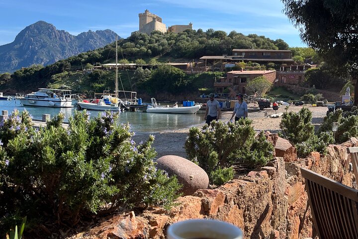 Afternoon in Scandola and coves of Piana with stop in Girolata