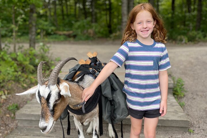Goat Hiking, Beaver Dam Visit and picnic in Quebec forest