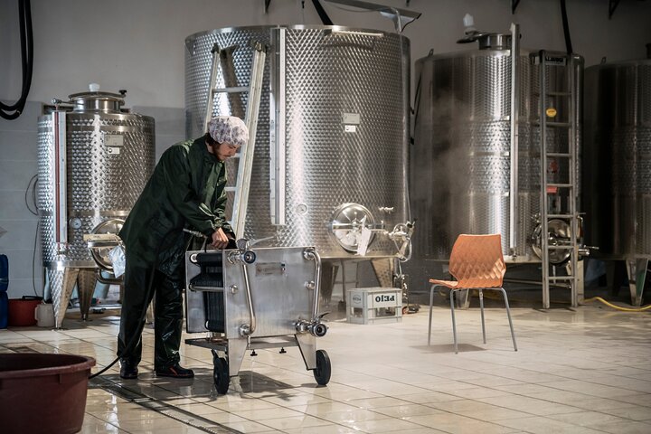 Private Parmigiano Balsamic Parma Ham and Wine Tasting Tour