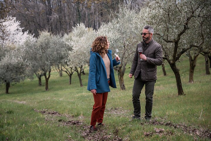 Private Parmigiano Balsamic Parma Ham and Wine Tasting Tour