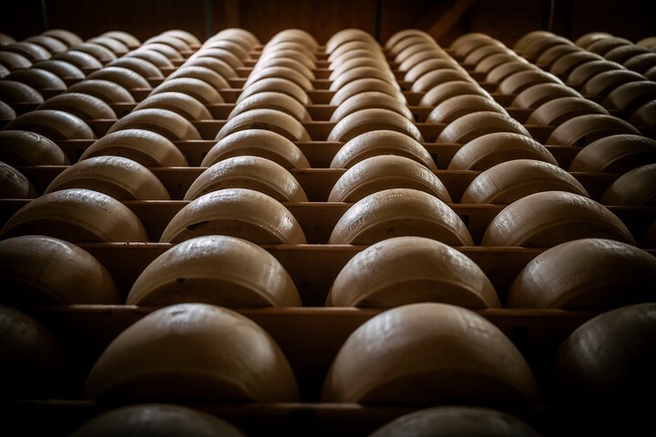 Private Parmigiano Balsamic Parma Ham and Wine Tasting Tour
