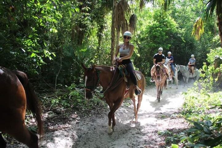 Half Day Horseback Riding Adventure with Cenotes in the Jungle