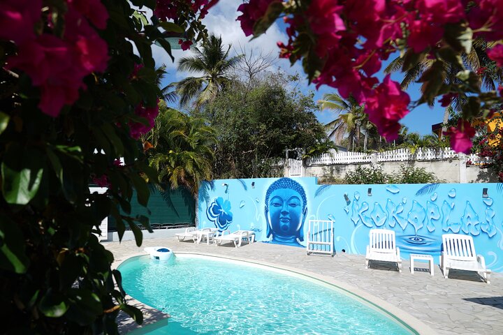 Surf lessons 1h30 (4-6 people) Kokoplaj Surf camp Guadeloupe school