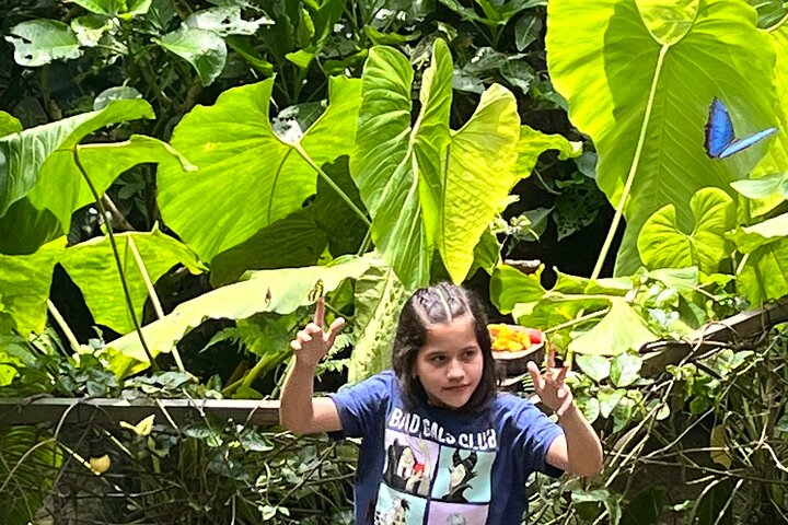Admission to Andoke Butterfly Center in Cali with Release Ritual