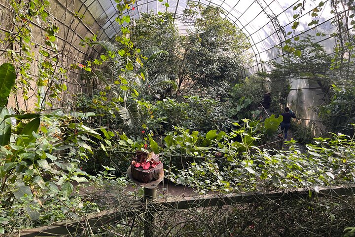 Admission to Andoke Butterfly Center in Cali with Release Ritual