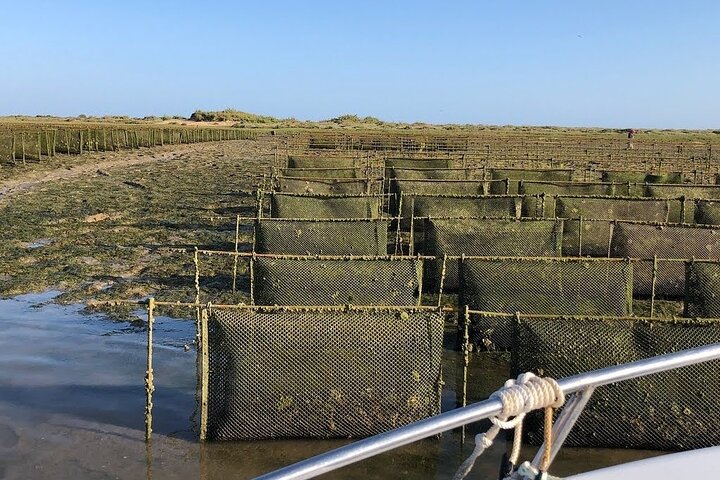 4 Stops | 3 Islands & Ria Formosa Natural Park - From Faro