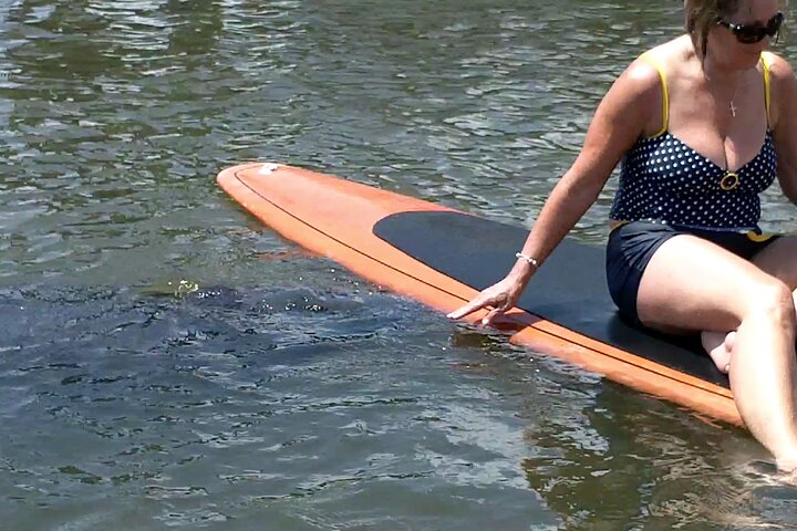 Dolphin and Manatee Adventure Tour of Merritt Island