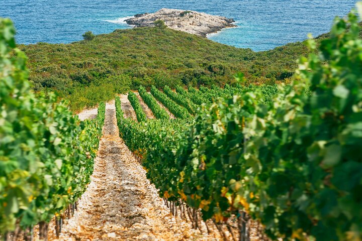 Korcula Buggy | Cruise Shore Excursion | Port Tour (Ana & Branko)