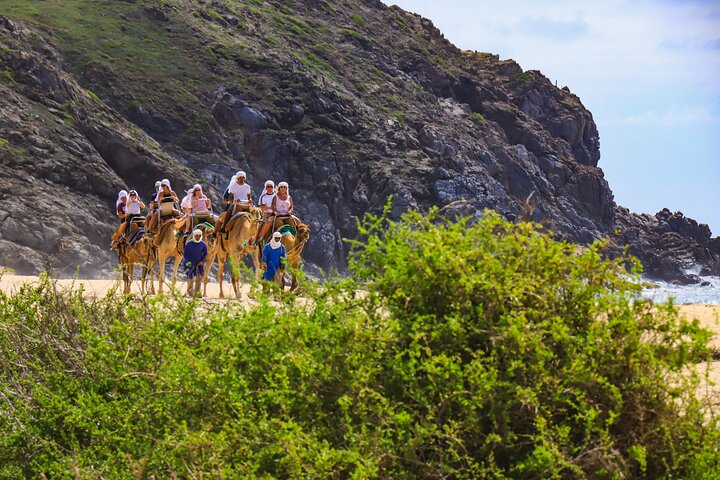 Cabo ATV Tour, Camel Ride with Tequila and Mexican Buffet Lunch