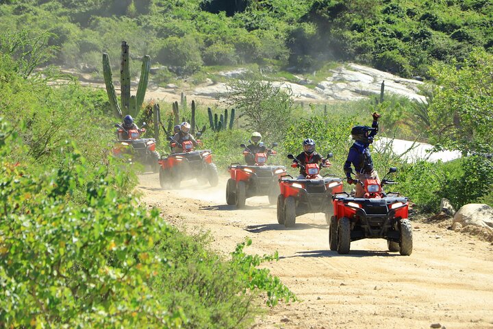 Cabo ATV Tour, Camel Ride with Tequila and Mexican Buffet Lunch