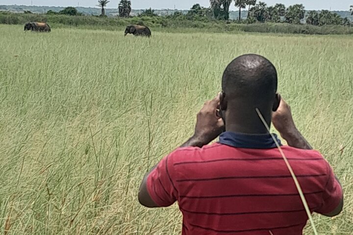 Kissama National Park Safari