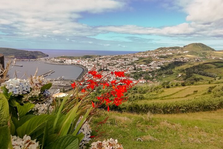 Faial Island: Half Day Tour